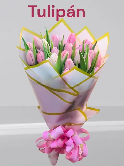 Ramo de 30 tulipanes